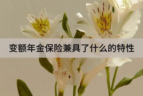 變額年金保險(xiǎn)兼具了什么的特性