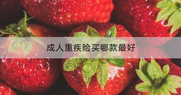 成人重疾險(xiǎn)買哪款最好？有必要買嗎？
