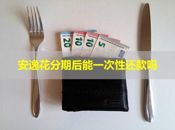 安逸花分期后能一次性還款嗎？詳細(xì)說明
