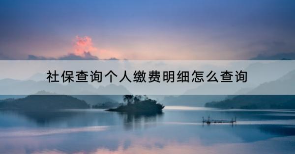 社保查詢個人繳費明細怎么查詢？怎么繳費？