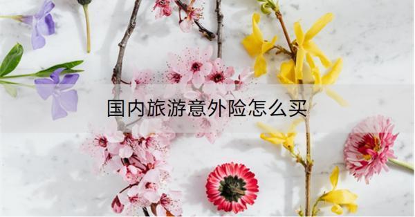 國內(nèi)旅游意外險怎么買？投保需要注意什么？