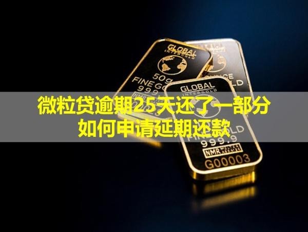 微粒貸逾期25天還了一部分如何申請延期還款？會被要求還全款嗎？