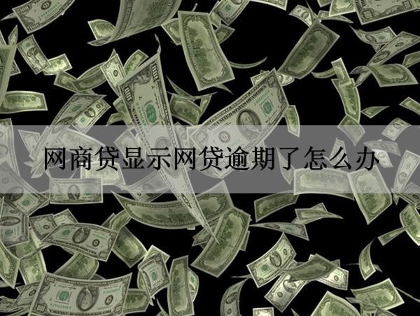 網(wǎng)商貸顯示網(wǎng)貸逾期了怎么辦？輕松解決