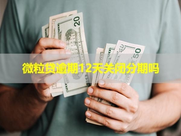 微粒貸逾期12天關(guān)閉分期嗎？看看就懂了！