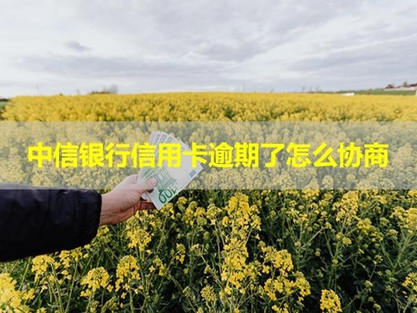 中信銀行信用卡逾期了怎么協(xié)商？必看篇！