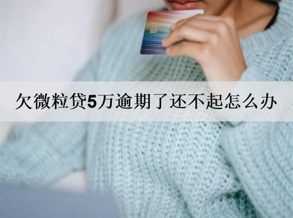 欠微粒貸5萬逾期了還不起怎么辦？詳細(xì)分析微粒貸逾期解決辦法