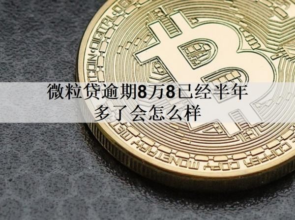 微粒貸逾期8萬8已經(jīng)半年多了會怎么樣？能協(xié)商延期嗎？