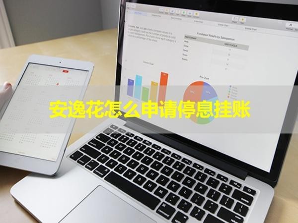 安逸花怎么申請(qǐng)停息掛賬？詳細(xì)步驟