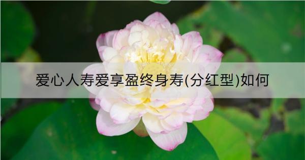 愛(ài)心人壽愛(ài)享盈終身壽(分紅型)如何？保障什么？
