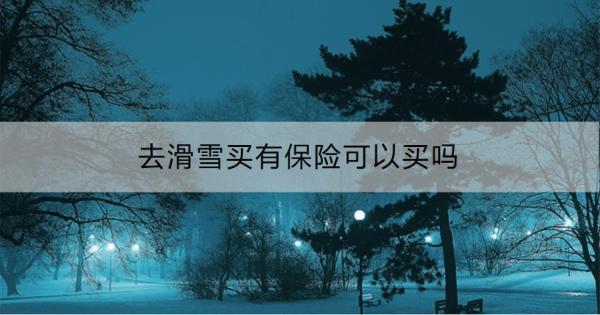 去滑雪買有保險(xiǎn)可以買嗎