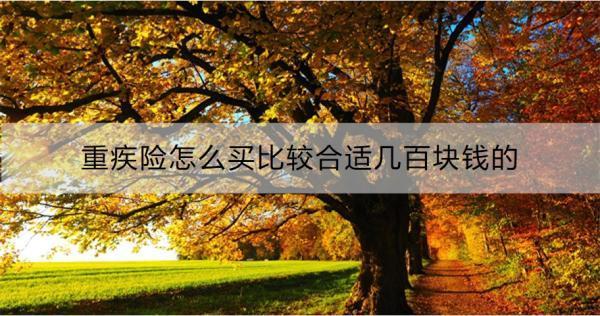 重疾險怎么買比較合適幾百塊錢的？購買前提條件是什么？