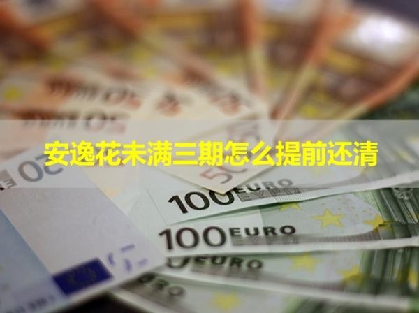 安逸花未滿三期怎么提前還清？看完就知道