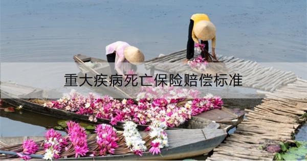 重大疾病死亡保險賠償標準是什么？賠償流程是什么？