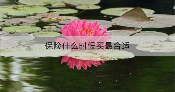 保險(xiǎn)什么時(shí)候買(mǎi)最合適？把握這三個(gè)時(shí)機(jī)