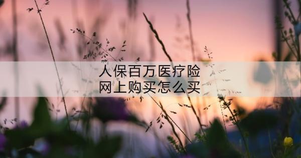 人保百萬(wàn)醫(yī)療險(xiǎn)網(wǎng)上購(gòu)買怎么買？人保金醫(yī)保百萬(wàn)醫(yī)療有什么優(yōu)點(diǎn)？
