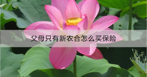 父母只有新農(nóng)合怎么買(mǎi)保險(xiǎn)？買(mǎi)保險(xiǎn)要注意什么？