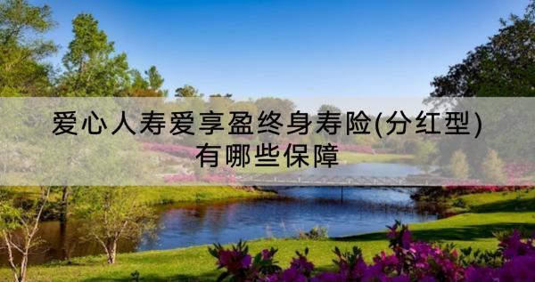 愛(ài)心人壽愛(ài)享盈終身壽險(xiǎn)(分紅型)有哪些保障？怎么樣？