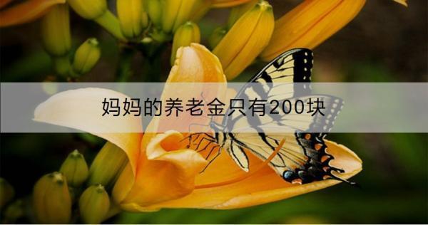 媽媽的養(yǎng)老金只有200塊怎么辦？養(yǎng)老金怎么領(lǐng)??？