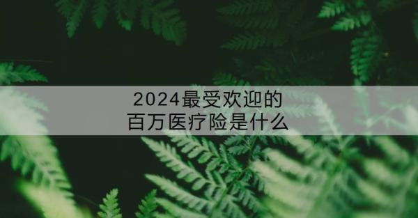 2024最受歡迎的百萬(wàn)醫(yī)療險(xiǎn)是什么？百萬(wàn)醫(yī)療險(xiǎn)有必要買嗎？