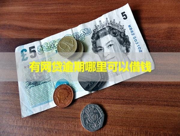 有網(wǎng)貸逾期哪里可以借錢？這些可以
