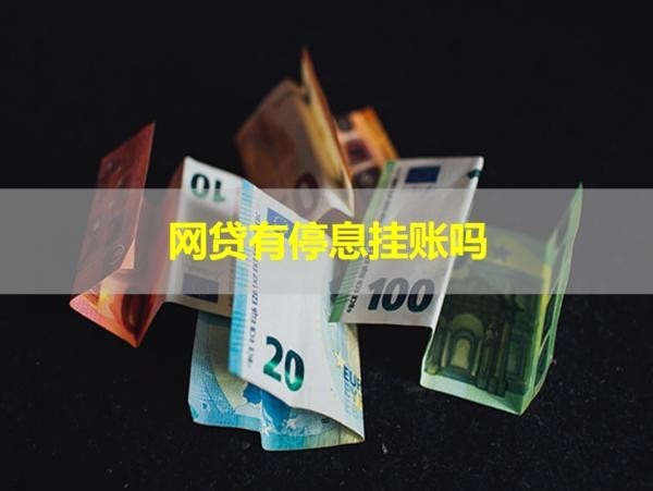 網(wǎng)貸有停息掛賬嗎？看完就懂