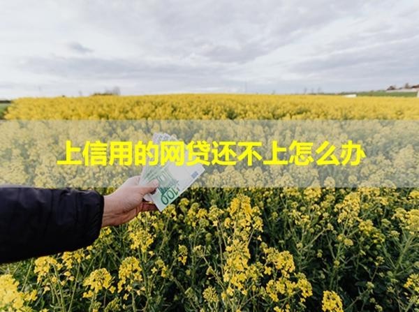 上信用的網(wǎng)貸還不上怎么辦？詳細(xì)說明