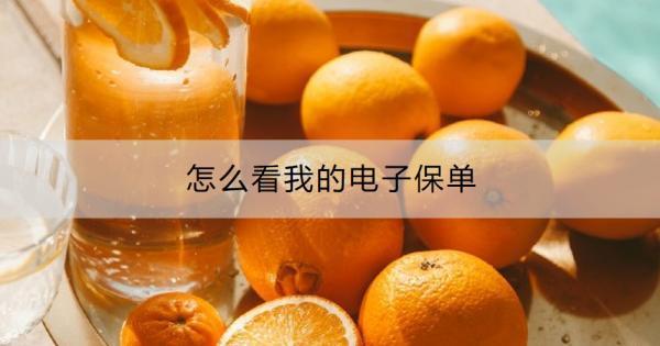 怎么看我的電子保單？電子保單的好處有哪些？