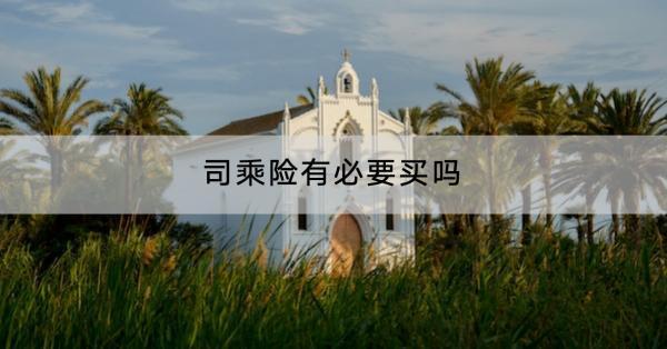 司乘險有必要買嗎買多少合適