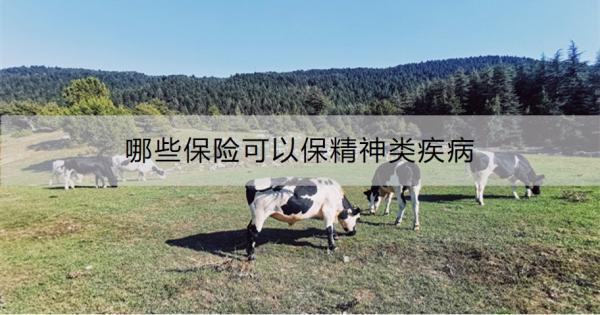哪些保險可以保精神類疾?。抠I保險要注意什么？