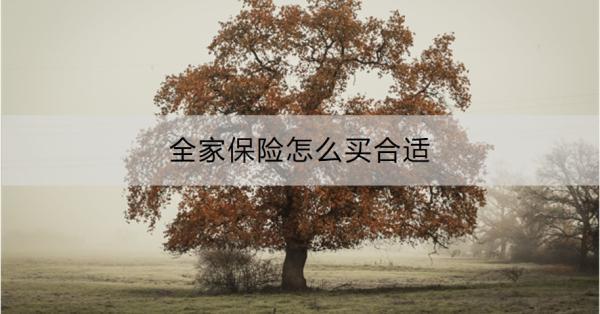 全家保險怎么買合適？這篇文章為你解答