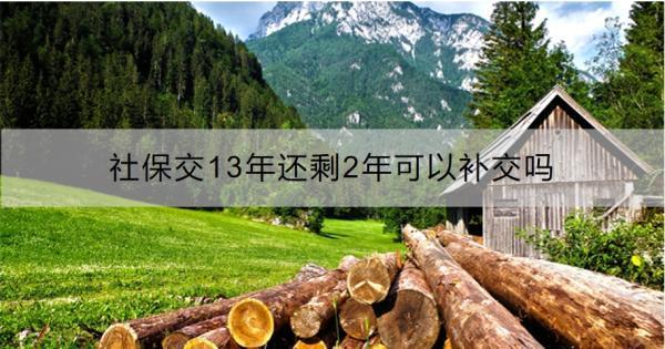 社保交13年還剩2年可以補交嗎？補交方式有哪些？