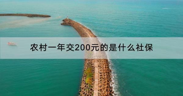 農(nóng)村一年交200元的是什么社保？每年繳費還是一次性補繳好？