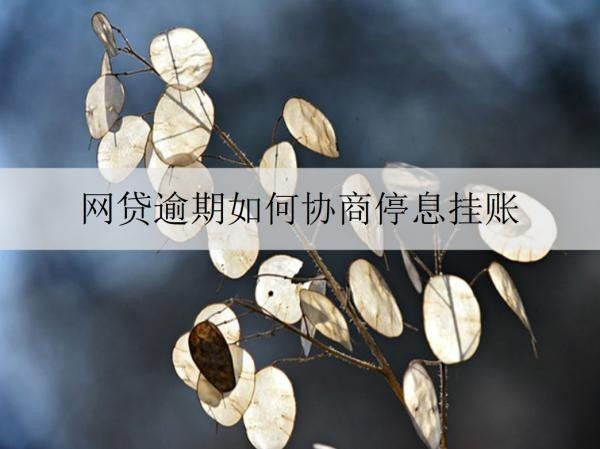 網(wǎng)貸逾期如何協(xié)商停息掛賬？一文為大家介紹協(xié)商停息掛賬的流程