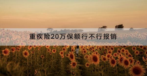 重疾險(xiǎn)20萬保額行不行報(bào)銷？購買條件是什么？