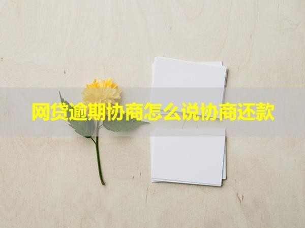 網(wǎng)貸逾期協(xié)商怎么說(shuō)協(xié)商還款？三步即可完成