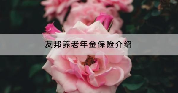 友邦養(yǎng)老年金保險介紹