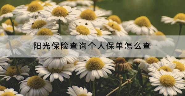 陽光保險查詢個人保單怎么查？保單用途是哪些？