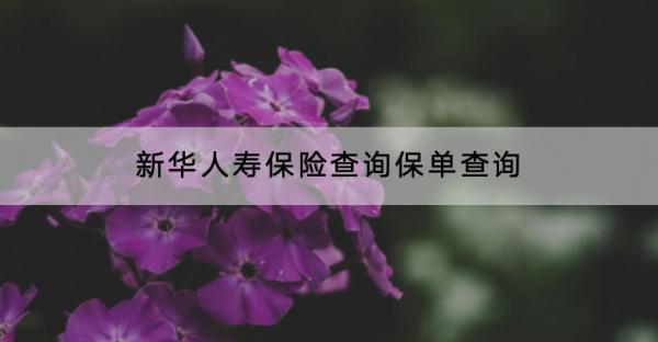 新華人壽保險查詢保單查詢