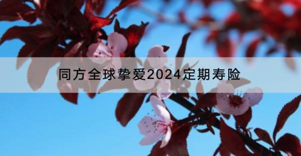 同方全球摯愛2024定期壽險(xiǎn)有哪些投保規(guī)則？有什么保障？