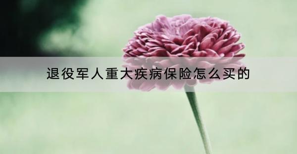 退役軍人重大疾病保險怎么買的