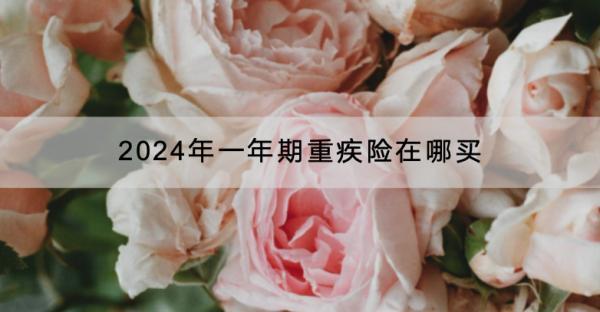 2024年一年期重疾險在哪買