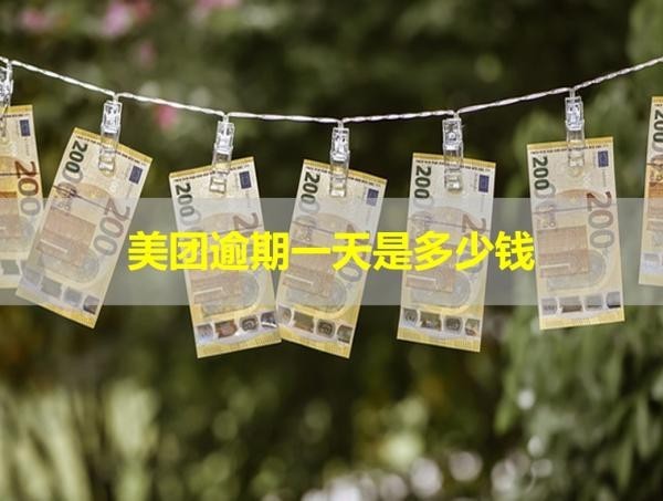 美團(tuán)逾期一天是多少錢？會(huì)不會(huì)真的給你家寄律師函？