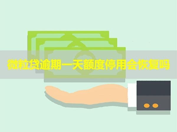 微粒貸逾期一天額度停用會恢復嗎？看完就知道