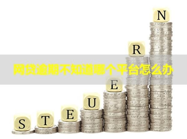 網(wǎng)貸逾期不知道哪個平臺怎么辦？詳情分析