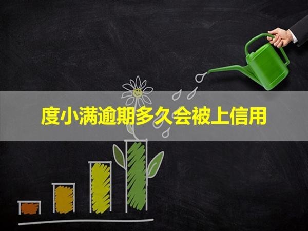 度小滿逾期多久會(huì)被上信用？看完就知道