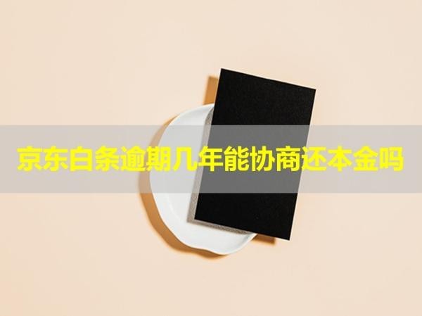 京東白條逾期幾年能協(xié)商還本金嗎？具體流程
