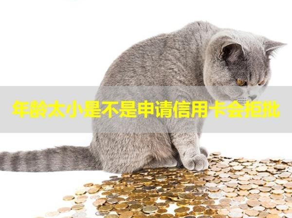 年齡太小是不是申請(qǐng)信用卡會(huì)拒批？看看就知道