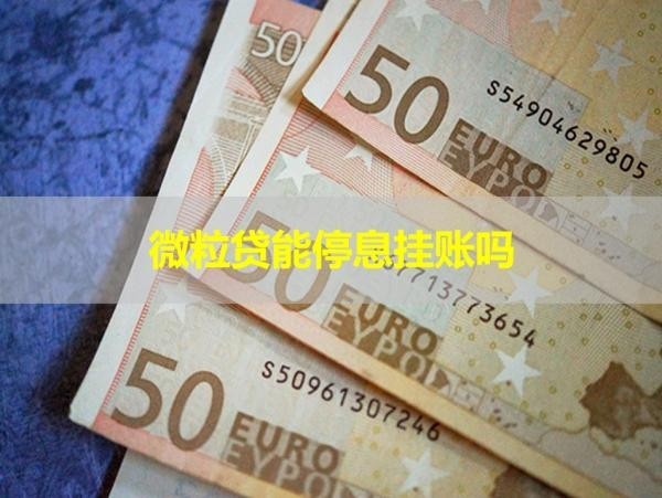 微粒貸能停息掛賬嗎？詳細(xì)情況說明