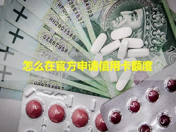 怎么在官方申請(qǐng)信用卡額度？幾種方式都可以