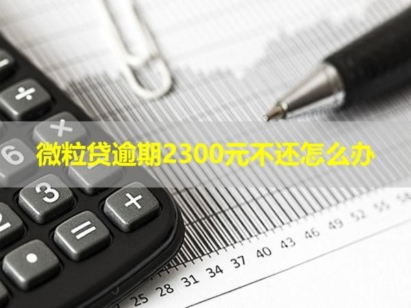 微粒貸逾期2300元不還怎么辦？處理方法！